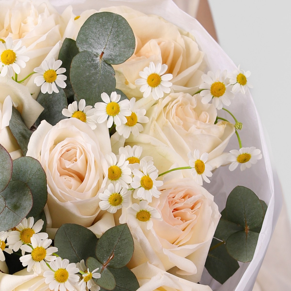 pionovidnye rozy s romashkoj 7-7